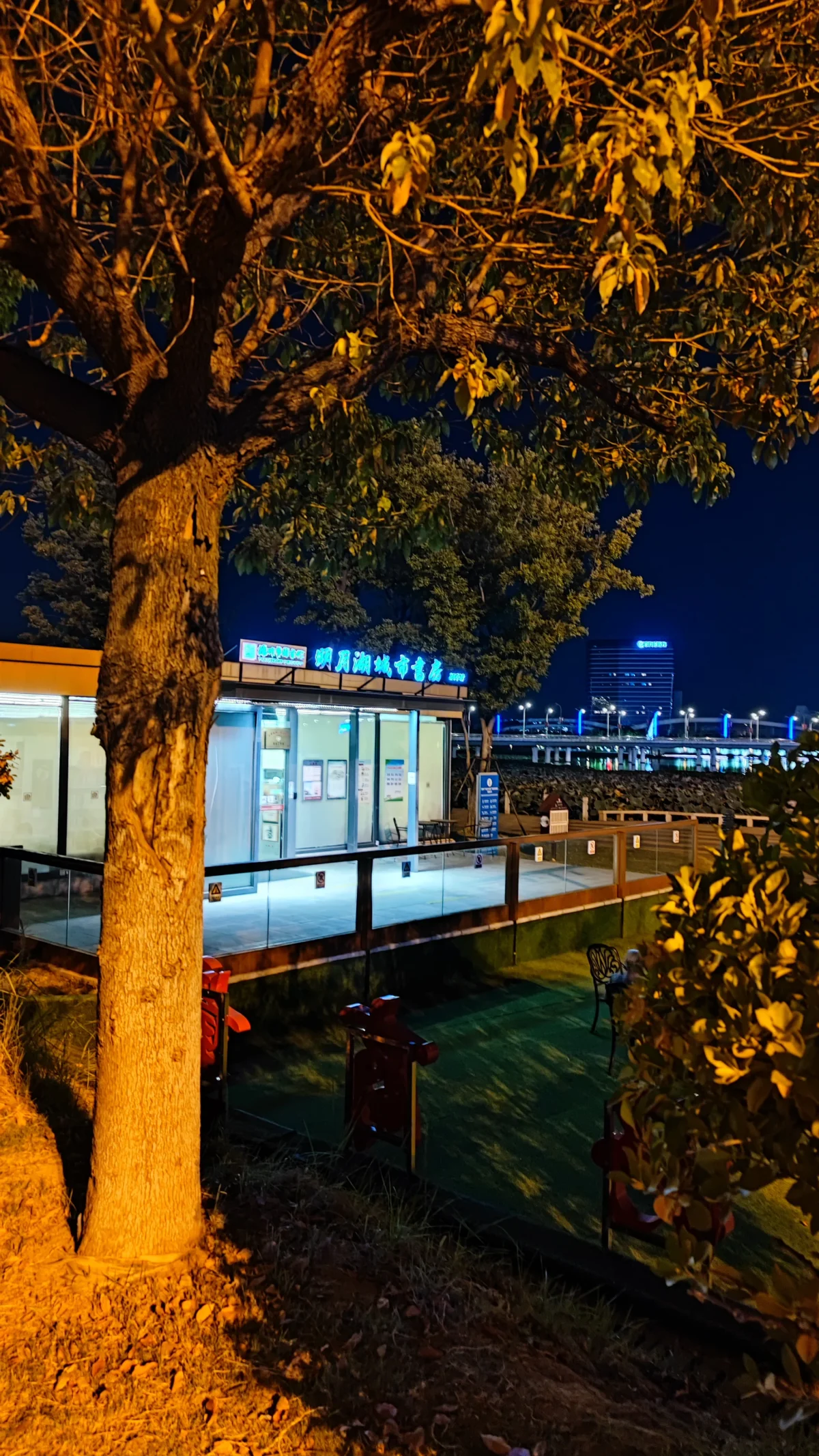 Mingyue Lake city study lights at night in Yangzhou